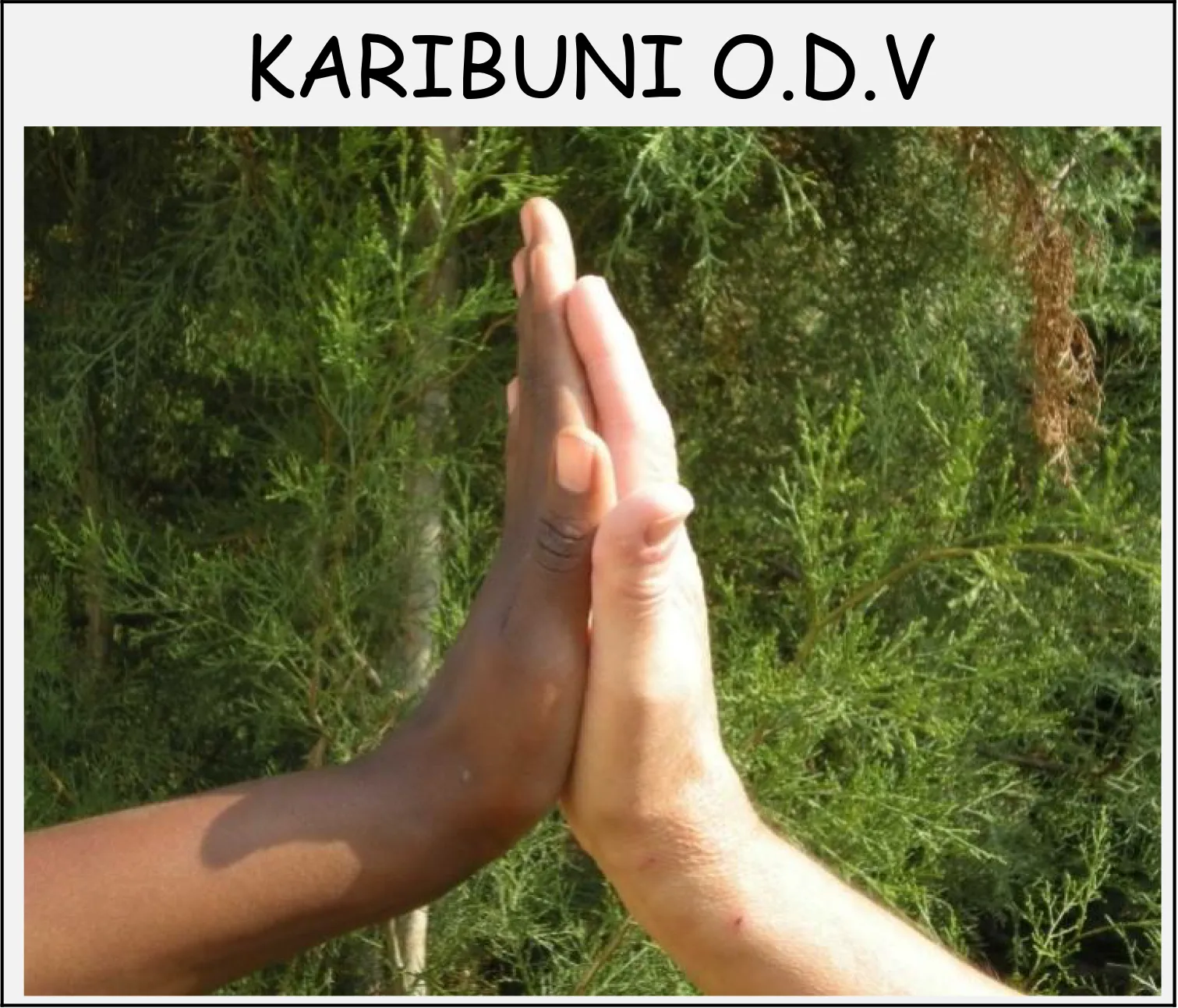 Karibuni